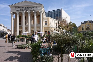 Molnár Edvárd felvétele