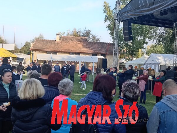 A káposztatartó verseny izgalmasnak bizonyult A káposztatartó verseny izgalmasnak bizonyult