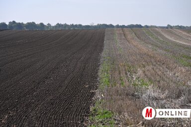 Molnár Edvárd felvétele