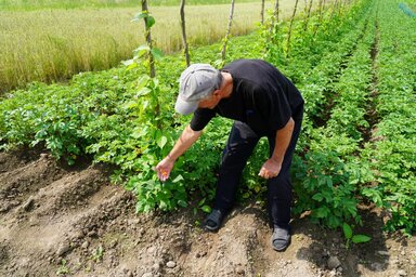 Fotó: Ökumenikus Segélyszervezet