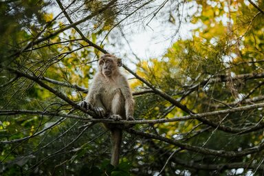 Illusztráció/Pexels.com