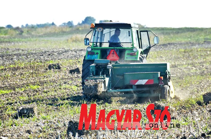 A learatott termés szolid mennyiségű volt A learatott termés szolid mennyiségű volt