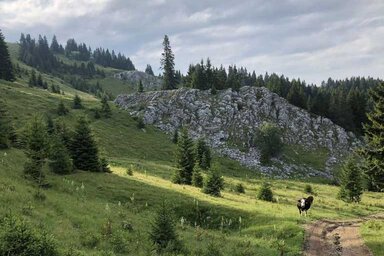 A Mojstirsko-Draške planine eddig természeti park volt (Sandzacke.rs)