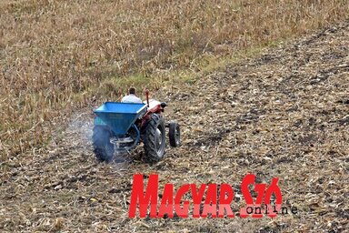 Gergely Árpád illusztrációja