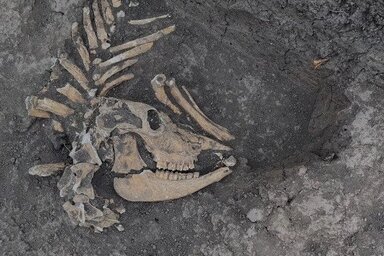 CFR Infrastruktura Temesvár