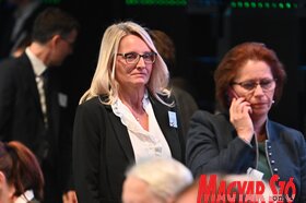 A Magyar Diaszpóra Tanács plenáris ülése Budapesten