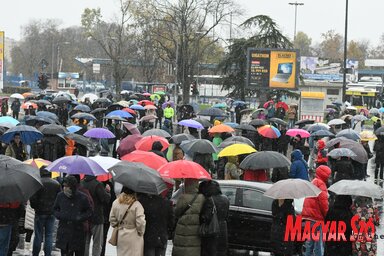 Újvidéki tragédia 15 perc leállás