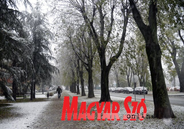 Dávid Csilla felvétele