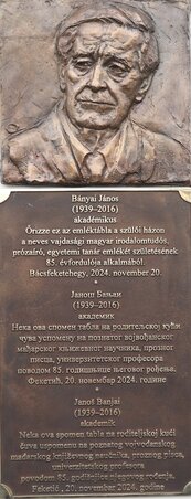 A frissen felavatott Bányai-emléktábla Bácsfeketehegyen / Lakatos János felvétele A frissen felavatott Bányai-emléktábla Bácsfeketehegyen / Lakatos János felvétele