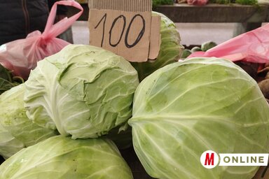 Gál Hermina felvétele