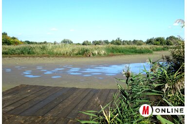 A sporthorgászok számára továbbra is igen vonzó a Topolyai-tó, bár néhány horgászstég elől eltűnt a víz (Tóth Péter felvétele)