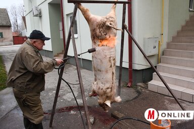 Valka Károly a perzselésnél is segédkezett (Fotó: Paraczky László felvétele)
