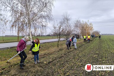 A faültetési akcióban a falubeli önkéntesek vettek részt / Dér Dianna felvétele