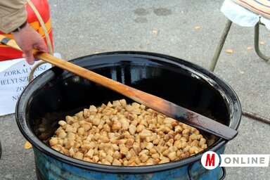 Benedek Miklós archív felvétele