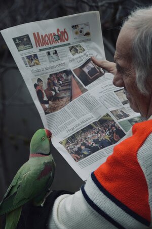 Bakos Hanna felvétele Bakos Hanna felvétele