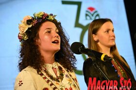 Díszülés a Vajdasági Magyar Szövetség 30 éves fennállása alkalmából
