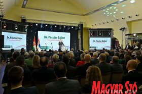 Díszülés a Vajdasági Magyar Szövetség 30 éves fennállása alkalmából