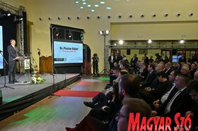 Díszülés a Vajdasági Magyar Szövetség 30 éves fennállása alkalmából