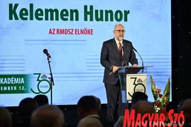 Díszülés a Vajdasági Magyar Szövetség 30 éves fennállása alkalmából