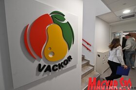 z első szülői értekezlet a Vackor újvidéki tagozatában