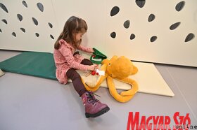 z első szülői értekezlet a Vackor újvidéki tagozatában