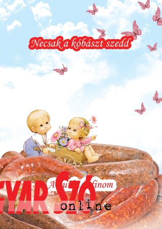 Vass Szabolcs alkotása Vass Szabolcs alkotása