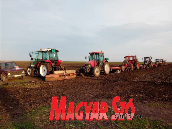 Összefogással rendezték a határutakat (Fotó: Vidács Hajnalka) Összefogással rendezték a határutakat (Fotó: Vidács Hajnalka)
