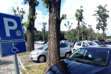 A folyamat a mozgássérült személyek számára fenntartott parkolóhelyek használatát szabályozó rendelettel összhangban zajlik (Fotó: Szeli Balázs felvétele)