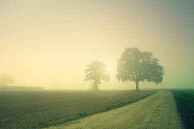 Egyes területeken köd is előfordulhat (Illusztráció/Pixabay.com)