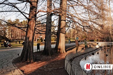 Dávid Csilla felvétele