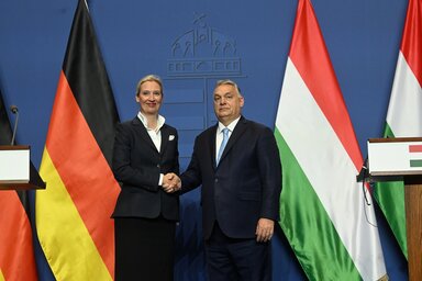 Alice Weidel példaképnek nevezte Magyarországot és a magyar miniszterelnököt az AfD számára (Fotó: MTI)