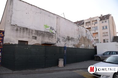 Dávid Csilla felvétele