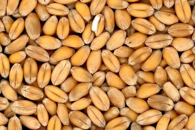 A gyanúsítottak összesen mintegy 200 millió dinárral károsították meg az állami költségvetést (Fotó: pixabay.com)