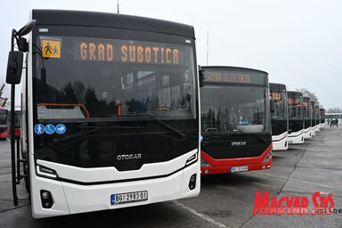 Molnár Edvárd archív
