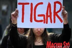 Tüntetés Szabadkán