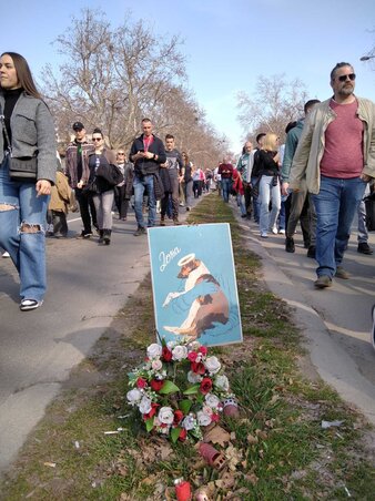 A tiltakozók nem feledkeztek meg Dona kutyusról, akit január 25-én gázoltak el egy tüntetés során (Fotó: A tiltakozók nem feledkeztek meg Dona kutyusról, akit január 25-én gázoltak el egy tüntetés során (Fotó: