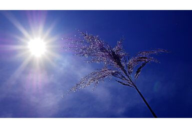 Illusztráció/Pixabay