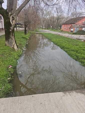 A Topolyai úton lévő árkok eltömődtek, ezért megemelkedett a vízszint / Vituska Ildikó személyes archívuma A Topolyai úton lévő árkok eltömődtek, ezért megemelkedett a vízszint / Vituska Ildikó személyes archívuma