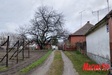 Az utca az egyik legnagyobb magyar hadvezér nevét viseli / Patyi Szilárd felvétele