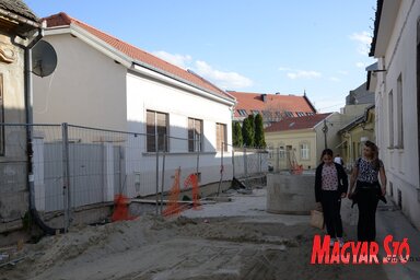 A projekt különlegessége abban rejlik, hogy az Almási környék Újvidék történelmének talán legfontosabb helyszíne (Fotó: Dávid Csilla felvétele)