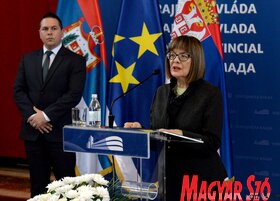 Tartományi támogatások a nemzeti tanácsoknak
