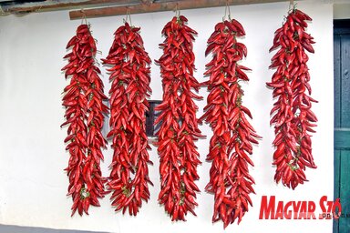 A fűszerpaprika-őrlemény jellegzetes magyar ételízesítő, a hungarikumok között a kalocsai és a szegedi változat kapott helyett (Fotó: Gergely József felvétele)