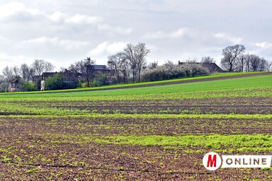 Az őszi vetések közül a búza a legnépszerűbb, aztán jön a sörárpa, majd a repce (Fotó: Gergely Árpád)