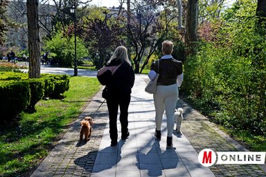 Újvidék tavasz napos idő