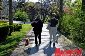 Újvidék tavasz napos idő