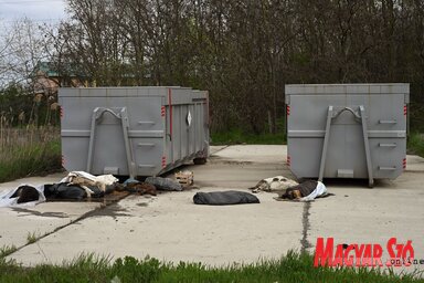 Míg az állattenyésztéssel foglalkozók az elpusztult állatokat korábban dögkutakba helyezhették el, ma már gyűjtőpontokra kell elszállítaniuk (Fotó: Molnár Edvárd felvétele)