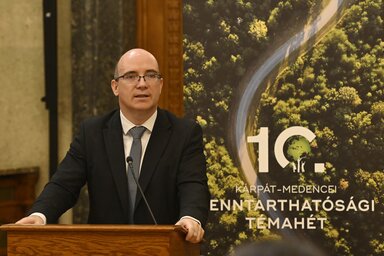 Maruzsa Zoltán (Fotó: MTI)