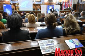 CEDukáció Roadshow a szabadkai Városházán
