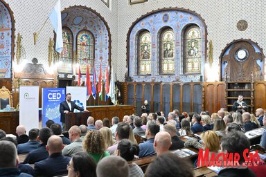 CEDukáció Roadshow a szabadkai Városházán