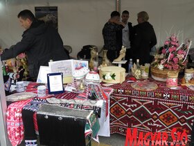 belgrád naggyűlés miting SNS SZHP